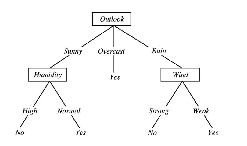 Decision Tree Algorithm